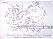 ֽ�弤���̻�